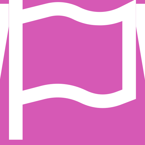 Dialog Flags